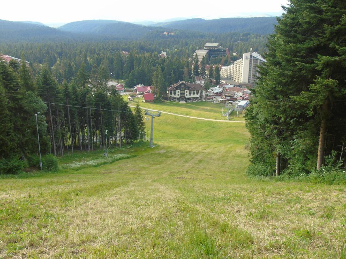 Хотел Флора Private Studio All Seasons Apartment Borovets Bagian luar foto